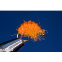 Assortment of 6 Amphipods/Gammarus (Scuds) barbless 14