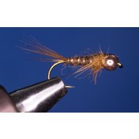 dunkelbraune Standardnymphe 12 ohne Widerhaken...