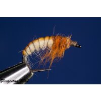 Tschechische Nymphe - Czech Nymph Nr. 34 10 mit Widerhaken