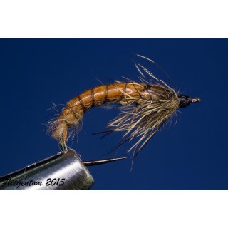 Caddis Puppa Nr. 128 #14