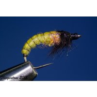Caddis Puppa Nr. 132 #14