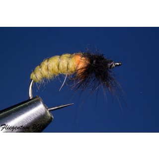 Caddis Puppa Nr. 138 #12