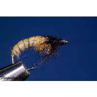 Caddis Puppa Nr. 154 #12