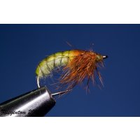 Caddis Puppa Nr. 177 #12