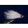 White Shining Fish 4