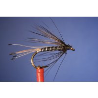 Black Pennell Wet Fly barbed 10