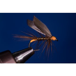 Wickhams Fancy (Nassfliege) ohne Widerhaken 14