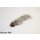 silver colored Sculpin/Bullhead Streamer Small(length: approx. 4-5cm, size of the hook: 6)