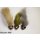 Assortment with 3 Sculpins, Bullheads in dyed colors small: 4-5cm - Hook Size: 6 - Weight: 1.7g