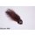 Chickabou Sculpin/Bullhead Grizzly brown Mini (approx. 3-4 cm, hook size 8)
