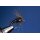 Holy Grail Nymphe schwarz 14 mit Widerhaken Messingperle Black Nickel