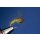 Olive Holy Grail Nymphe 14 ohne Widerhaken Messingperle silber