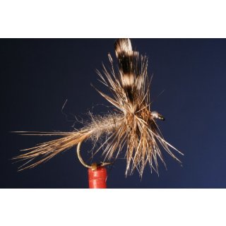 Adams 8 mit Widerhaken