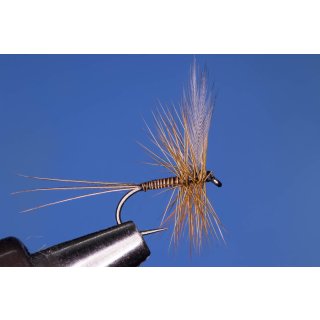 Geisslers Ruhm 10 ohne Widerhaken