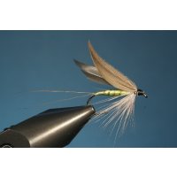 Golden Dun Midge - goldbraune Mücke ohne Widerhaken 12