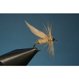 Grannom or Green Tail Fly ohne Widerhaken 14
