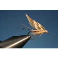 Turkey Brown Fly - Truthahnbraune ohne Widerhaken 10
