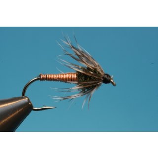 Brassie Softhackle 12 ohne Widerhaken