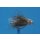 Mini Muddler 10 barbless Tungsten rainbow