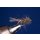 CDC Squirrel Nymphe dunkelbraun 10 mit Widerhaken