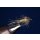 CDC Squirrel Nymphe beige 10 ohne Widerhaken