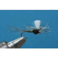 Dunkelolive Biot Parachute 12 ohne Widerhaken