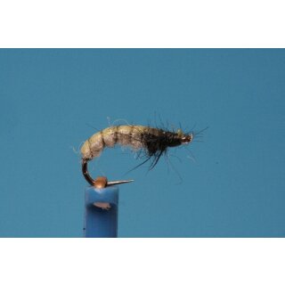 Hydropsyche nymph 12 barbed