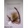 Tying set Inconspicuous dry fly 12 barbed