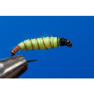 Sawyers Killerbug insect green