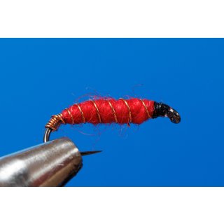 Sawyers Killerbug rot